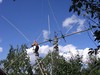 RW1CW Image
